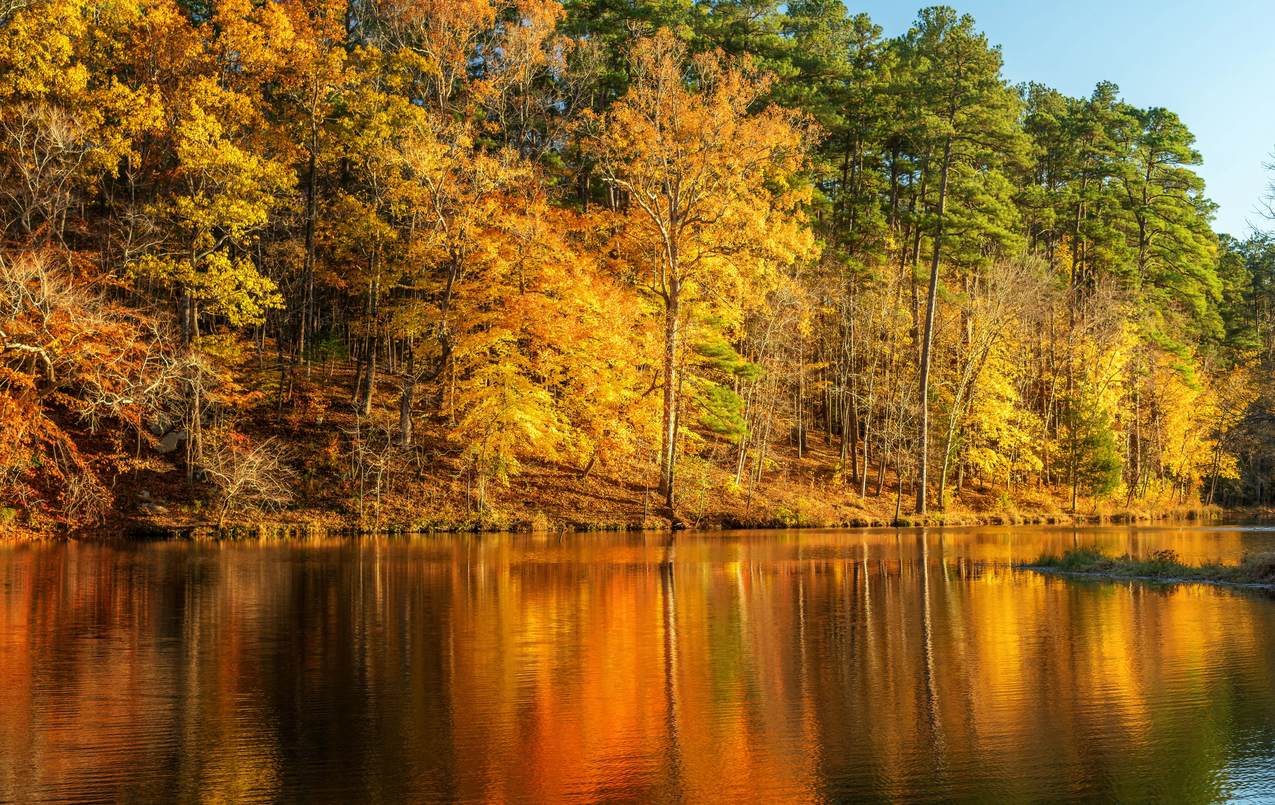Lake with trees set in the Autumn